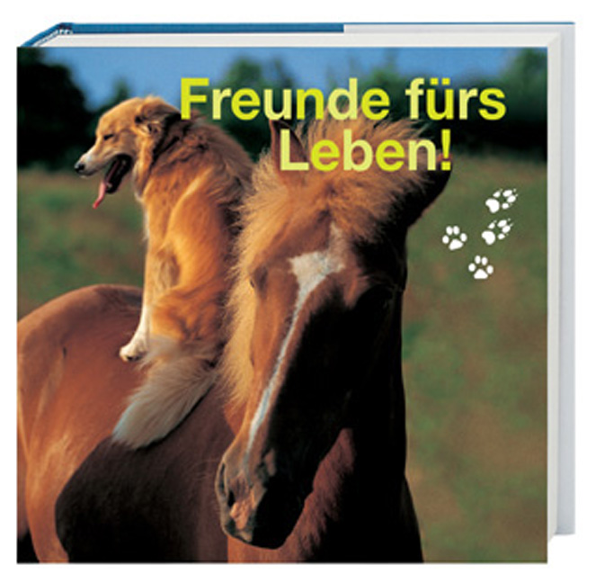 Freunde fürs Leben - Lana Herzig