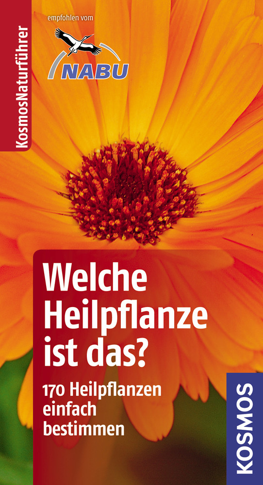 Welche Heilpflanze ist das?: 170 Heilpflanzen einfach bestimmen - typische Merkmale auf einen Blick. Basic - Wolfgang Hensel