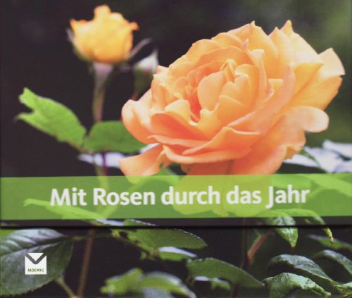 Mit Rosen durch das Jahr