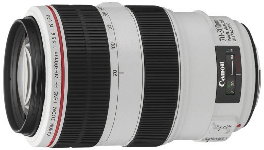 Canon Ef 70 300 Mm F40 56 Is L Usm 67 Mm Filter Geschikt Voor Ef Wit huismerk kopen in de aanbieding Canon Ef 70 300 Mm F40 56 Is L Usm 67 Mm Filter Geschikt Voor Ef Wit huismerk kopen in de aanbieding