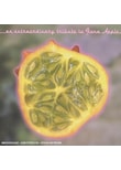 Various - Extraordinary Tribute To
